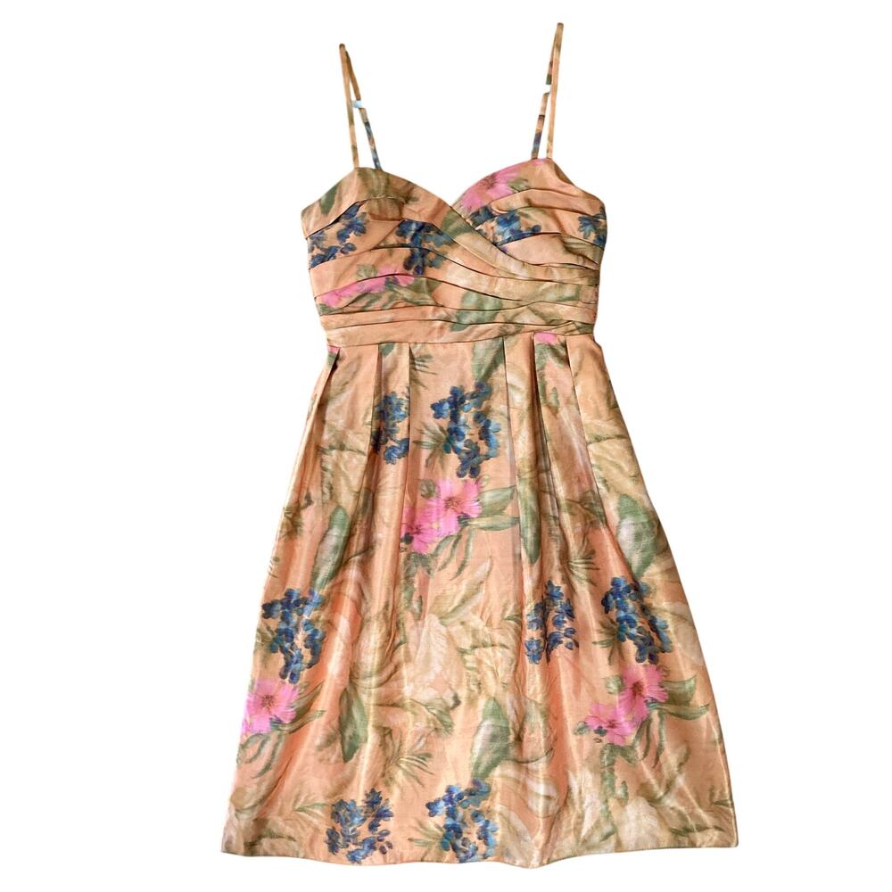 NEW Anthropologie New York Women's James Coviello Botanica Lined Dress Size 4